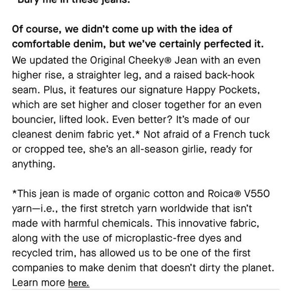 Everlane Women's The Original Cheeky Straight Leg Jeans 29 Regular - Picture 2 of 8